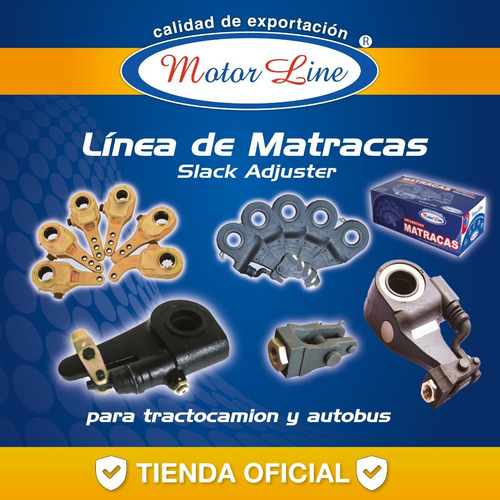 Imagen 6 de 9 de Matraca Delantera Derecha Ajuste Automático Vw 24 Dientes