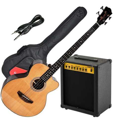 Bajo Electroacustico Fishman + Amplificador 35w Funda Combo