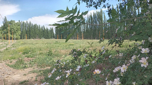 Imagen 1 de 9 de Venta Terreno En Centenario