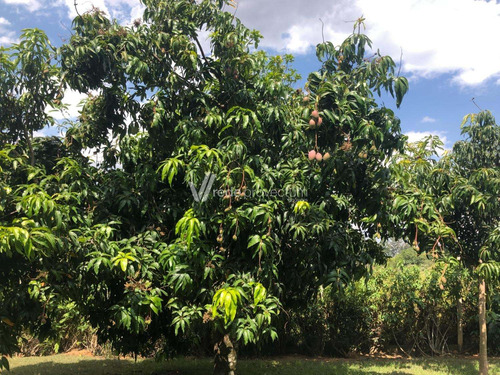 Chácara À Venda Em Chácaras São Martinho - Ch284677
