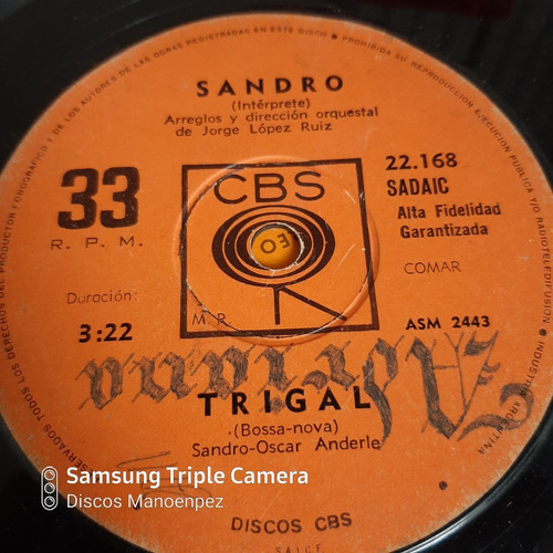 Simple Sandro Cbs 22168 C21