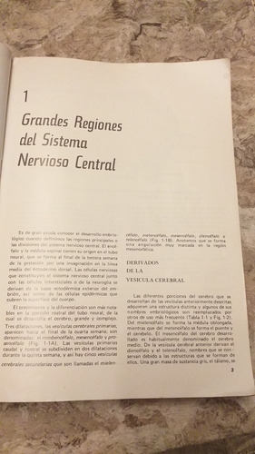 El Sistema Nervioso Humano Un Punto De Vista Anatómico (Usado)