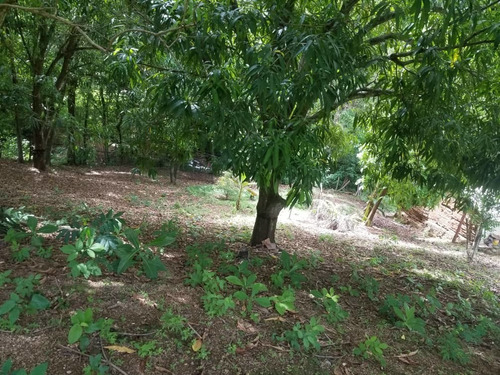 Imagen 10 de 12 de Vendo O Cambio Terreno Con Casa Cercada