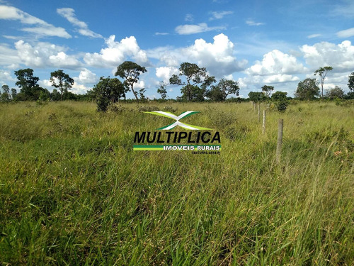 Oportunidade Chácara À Venda Uberlândia 20.000 M² Por R$ 130.000, Financia - 394