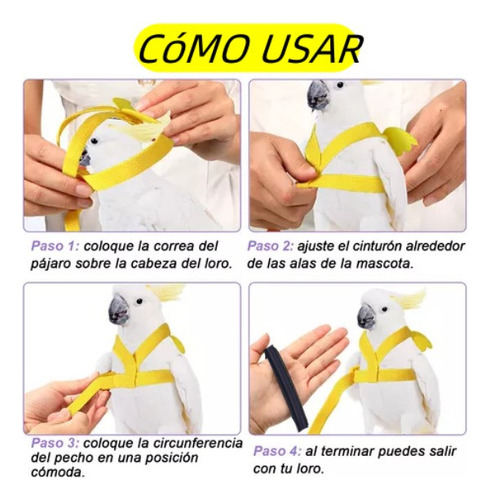 Bn Arnés Y Correa For Pájaros, Periquitos, Cacatúas, Loros