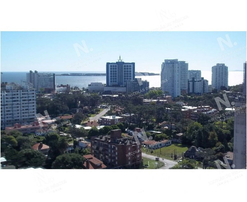 Imagen 9 de 13 de Hermoso Departamento En Venta, Zona De La Brava. - Punta Del Este Brava