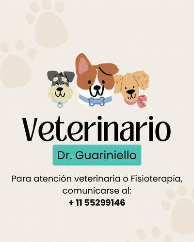 Atención Veterinaria Y Fisioterapia Zona Ezeiza