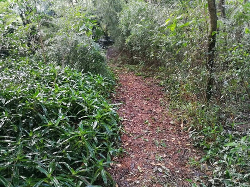 Imagen 3 de 9 de Visite Parque Kunu¿u Renda, A 7 Km. De Caacupé