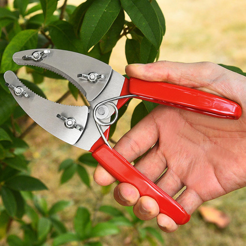 Tijeras Para Cortar Anillas, Tijeras De Podar, Tijeras De