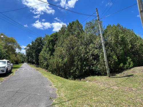Lote Terreno En Venta Los Rosales Con Escritura