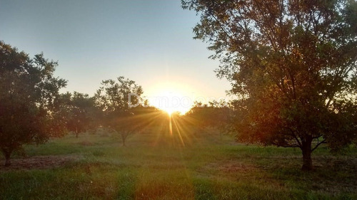 Imagen 23 de 25 de Terreno En Venta O Permuta Ubicado En Punta Indio, Resto De La Provincia