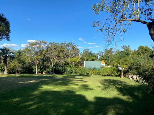 Imagen 4 de 6 de Lote En Punta Ballena, Punta Ballena