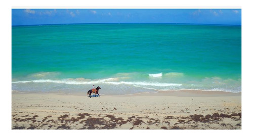 Imagen 3 de 9 de Terreno En Venta En Isla Blanca