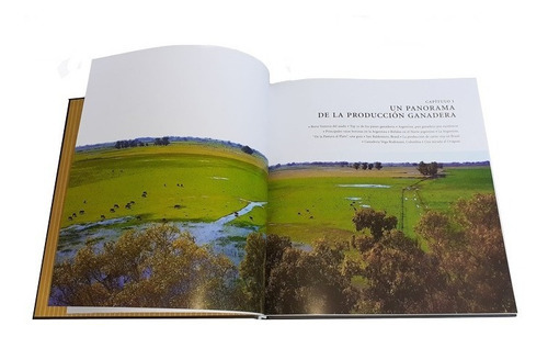 La Revolucion De La Carne, Desde La Semilla, De Carlos López., Vol. 552 Cm. Editorial Escuela Argentina De Parrilleros, Tapa Dura En Español, 2019