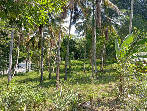 Venta De Finca Los Montones, Hato Dama San Cristóbal