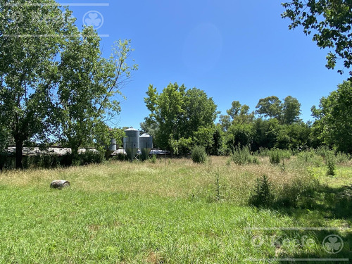 Terreno En Coronel Brandsen 1 Ha