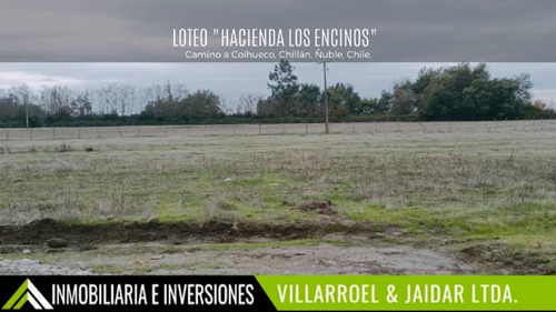 Venta De Parcela Camino A Coihueco