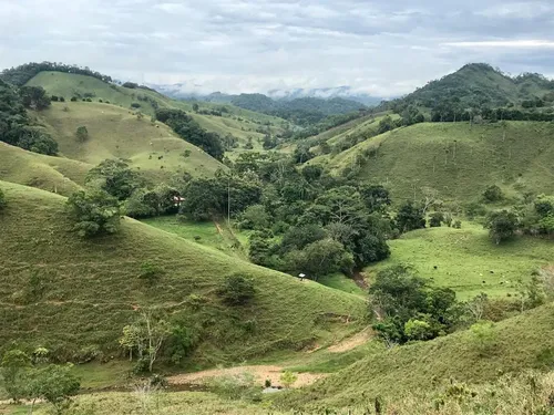 Se Vende Finca Ganadera En Doradal