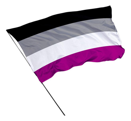 Bandeira Assexual Dupla Face Em Tecido 1,50m X 1,0m - Lgbt