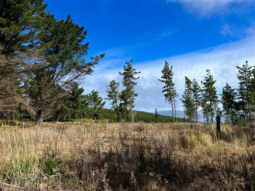 Sitio En Venta En Loteo Fundo Boyeruca, Comuña Vichuquén