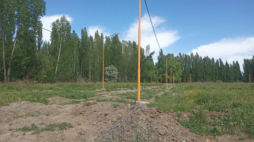 Imagen 7 de 7 de Venta Terreno En Centenario Loteo La Emilce