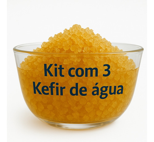 Kefir Kit 3 Kefir De Agua Com Manual De Cuidados Impresso