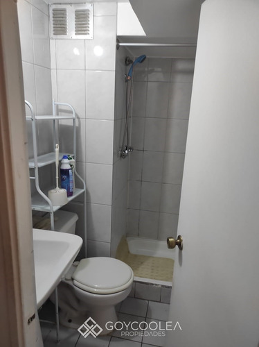 Departamento En Arriendo En Providencia