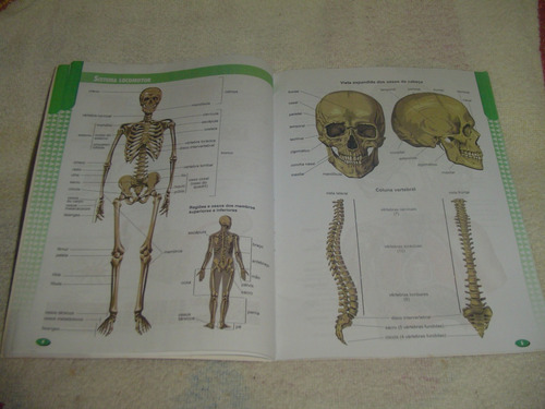 Atlas Anatomia Do Estudante - Sistema - Funções - Orgãos