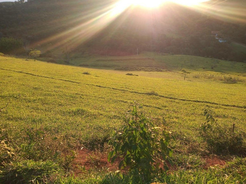 Imagem 8 de 8 de 06- Lotes De 2.500m² Em Santa Isabel Apenas 99.900 Esse Final De Semana