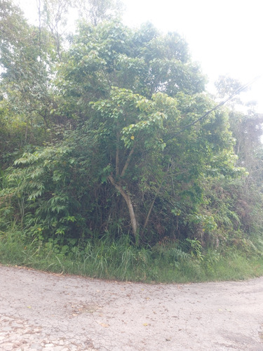 Terreno De 5.000 Mts En San Diego