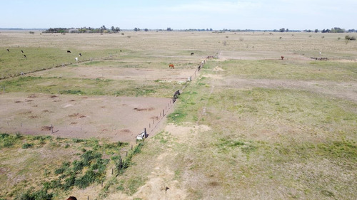 Imagen 8 de 19 de Campo - Coronel Brandsen