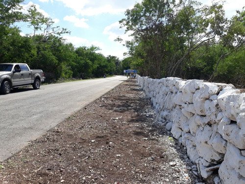 Komchen - Suytunchen Terreno En Venta De 5 Hectareas Con Servicios