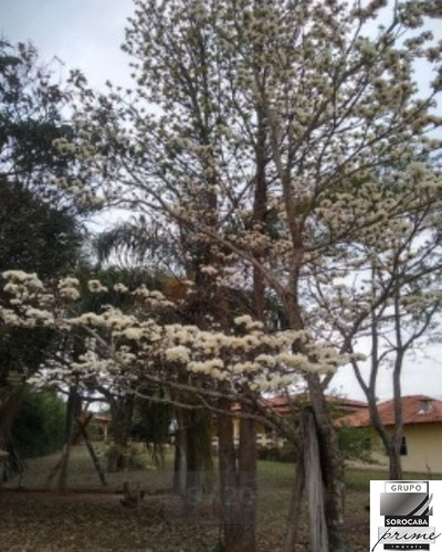 Imagem 9 de 15 de Chácara Residencial Paraíso R$1.000.000,00 - Ch00026 - 70992554