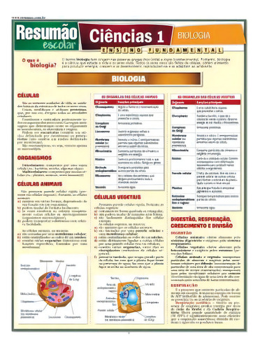 Resumao - Ciencias 1: Biologia: Resumao - Ciencias 1: Biologia, De Sergio Noriaki Sato. Série Não Aplica, Vol. Não Aplica. Editora Bf&a, Capa Mole, Edição Unica Em Português