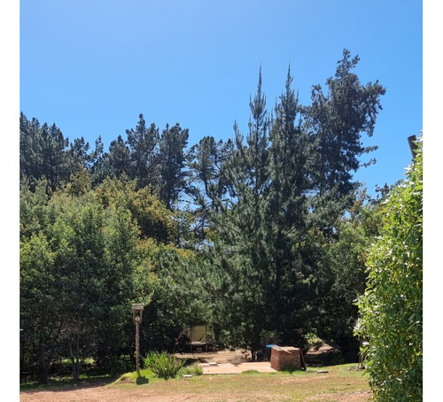 Rebajada Linda Parcela Con 2 Cabañas En Pinares De Algarrobo