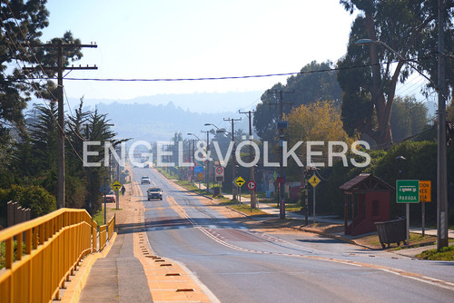 Arriendo Terreno Comercial Las Cruces.