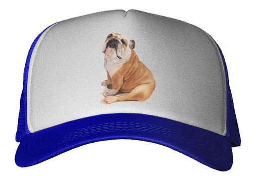 Gorra Bulldog Ingles Sentado Art