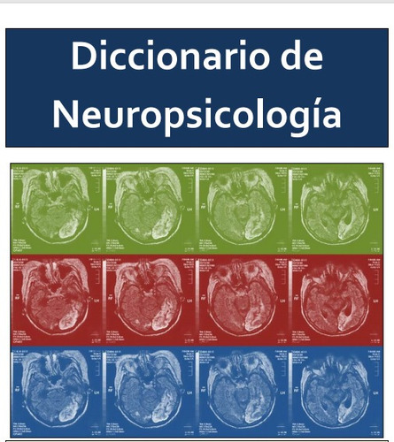 Diccionario De Neuropsicología