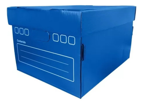 Caja De Plástico Corrugado 42 X 32 X 25,5 Cm Pack X 10