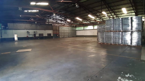 Adolfo Cañizales Vende Galpón Yagua Cód 438670