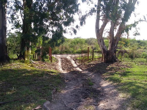Imagen 13 de 21 de Casa Quinta En Venta - Belgrano A Norte - Gualeguaychú