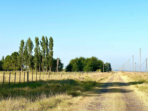 Imagen 9 de 20 de Venta Chacra 15 Hectareas Cañuelas Buenos Aires