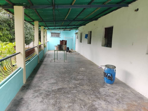 Imagen 11 de 26 de Kn Bienes Raices Vende Finca En El Sector Guayabitos, Tinaquillo Estado Cojedes. Karen Nuñez 0412-7415693