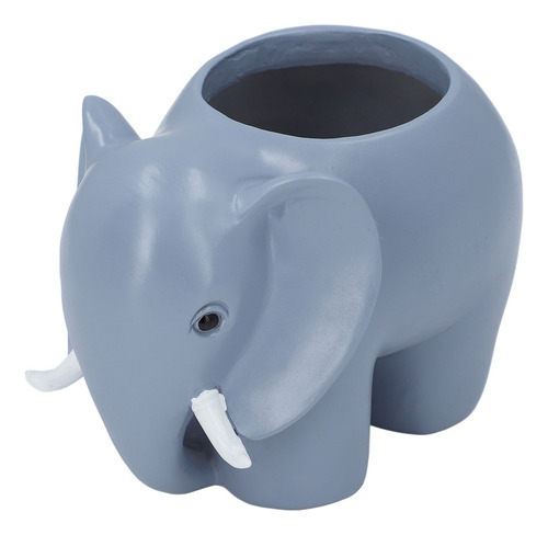 Maceta Con Forma De Elefante Para Plantas Suculentas Con For
