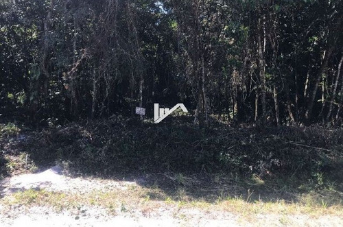 Imagem 5 de 5 de Terreno No Balneário Gaivota, Em Itanhaém
