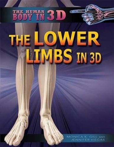 The Lower Limbs In 3d (human Body In 3d)