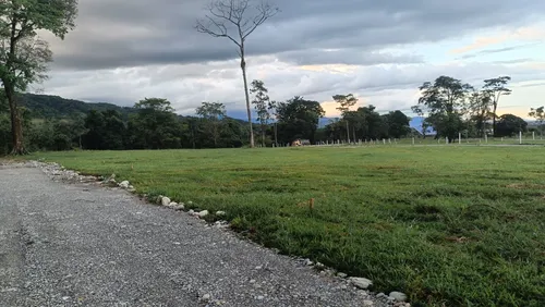 Vendo O Permuto Hermoso Lote En Acacias $16.000.000