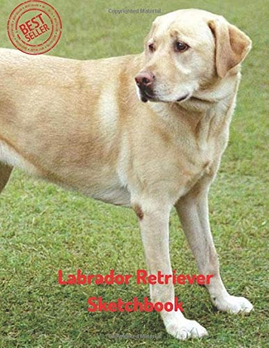 Labrador Retriever Sketchbook Blank Paper For Drawing, Doodl