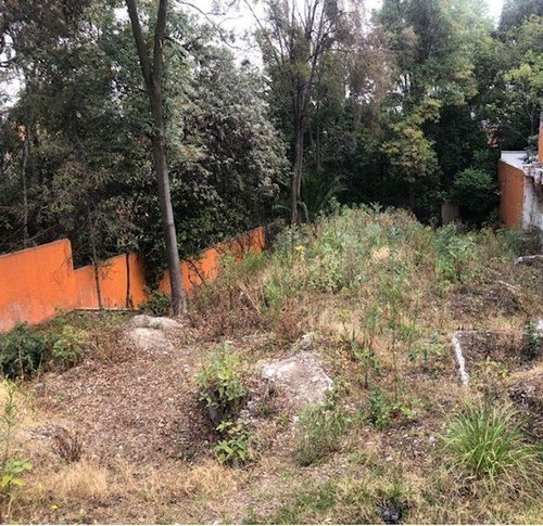 Imagen 2 de 4 de Terreno En Venta En Constituyentes: Lomas Altas
