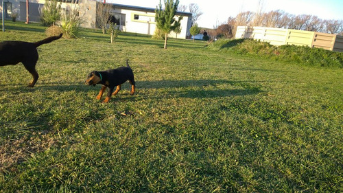 Sensacional Chacra En Viedma, Sobre 10.000m2 De Terreno.
